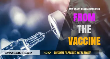 Vaccine-Related Deaths: Separating Facts from Misinformation and Fears