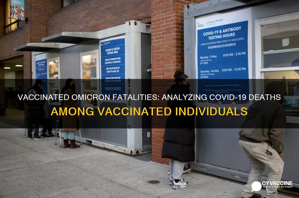 how many omicron deaths were vaccinated