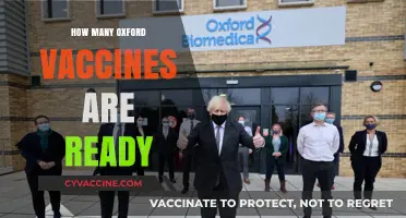Oxford Vaccine Production: How Many Doses Are Ready for Distribution?