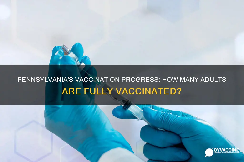 how many pa adults are vaccinated