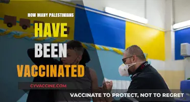 Palestinian Vaccination Rates: Current Status and Challenges Amid Crisis