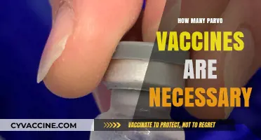Understanding Parvo Vaccination: Essential Doses for Your Dog's Health