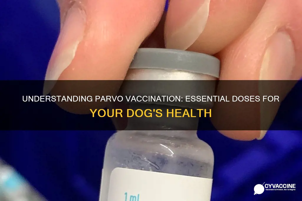 how many parvo vaccines are necessary
