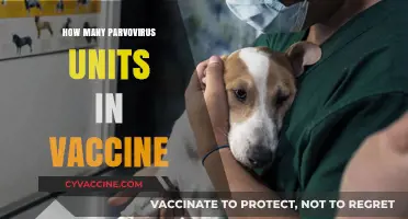 Understanding Parvovirus Vaccine Units: Dosage and Safety Explained
