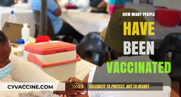 Global COVID-19 Vaccination Progress: Tracking the Number of Vaccinated Individuals