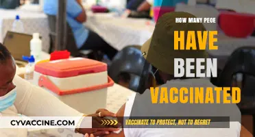 Global Vaccination Progress: Tracking How Many People Have Been Vaccinated
