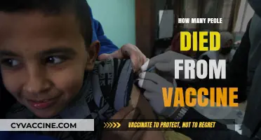 Vaccine-Related Deaths: Separating Facts from Misinformation and Myths