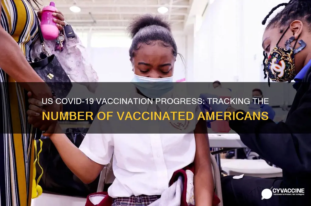 how many peole have been vaccinated in the us
