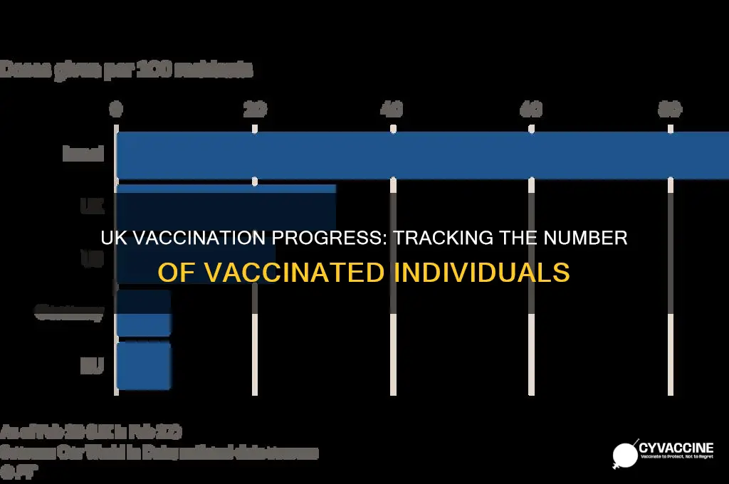 how many peole have been vaccinated in uk
