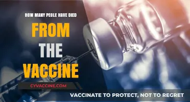Vaccine-Related Deaths: Separating Facts from Misinformation and Fears