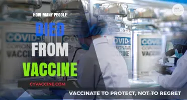 Vaccine-Related Deaths: Separating Facts from Misinformation and Myths