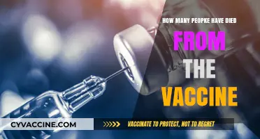 Vaccine-Related Deaths: Separating Facts from Misinformation and Fears