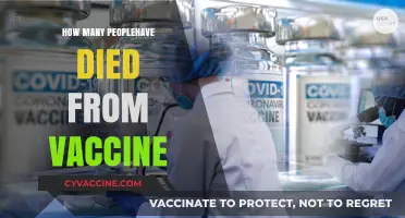 Vaccine-Related Deaths: Separating Facts from Misinformation and Myths