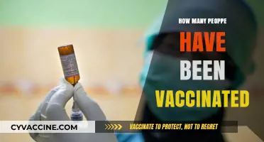 Global COVID-19 Vaccination Progress: Tracking Worldwide Inoculation Numbers