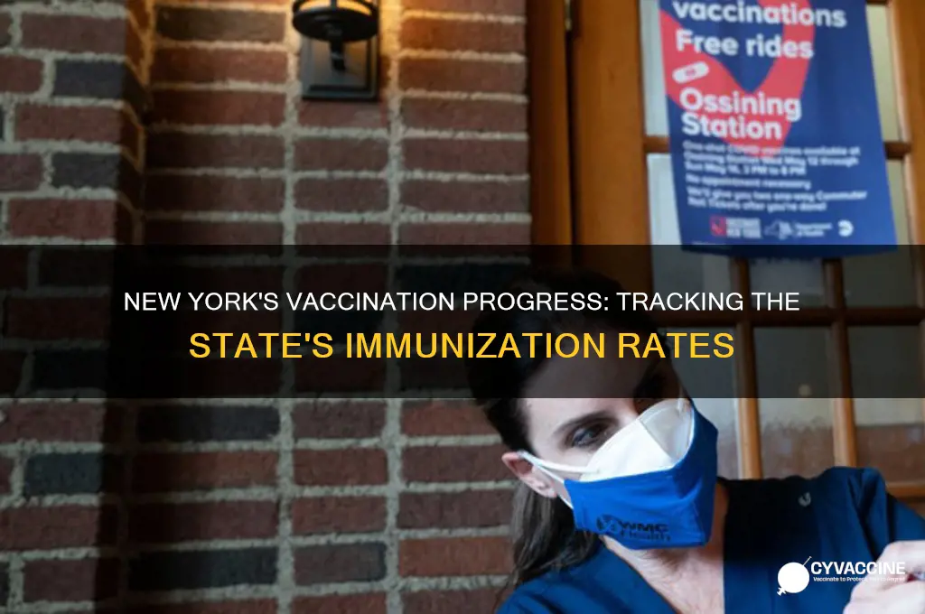 how many percent of new york is vaccinated