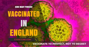 England's Vaccination Progress: Tracking the Percentage of Fully Vaccinated Residents