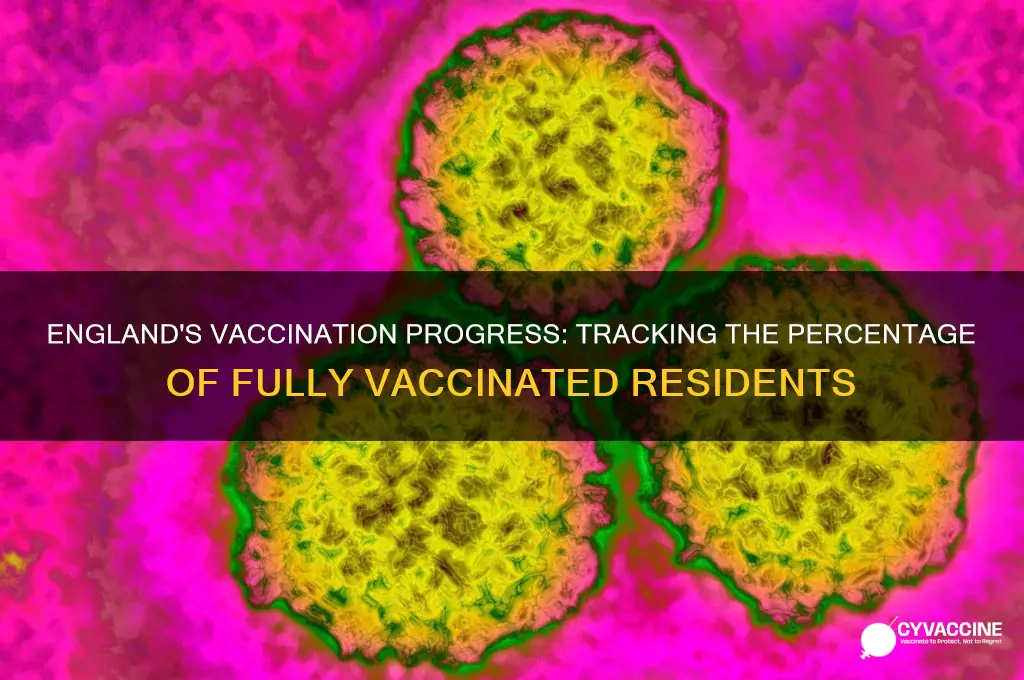 how many percent vaccinated in england