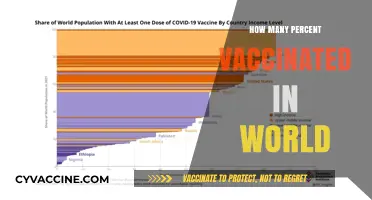 Global Vaccination Progress: Tracking Worldwide COVID-19 Immunization Rates