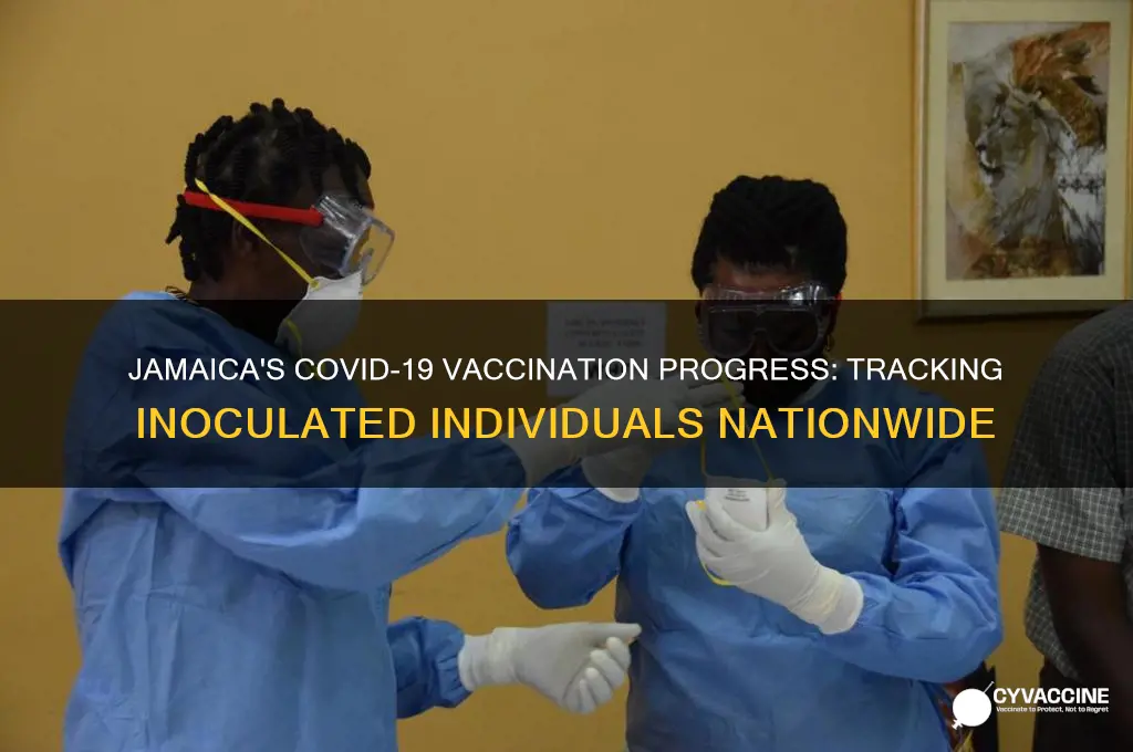 how many persons have been vaccinated in jamaica