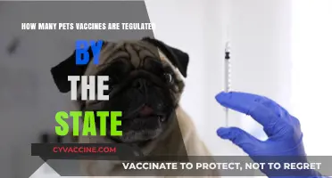 State Regulations on Pet Vaccines: What Every Owner Should Know