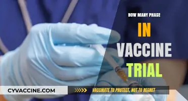 Understanding the Multiple Phases of Vaccine Trials: A Comprehensive Guide