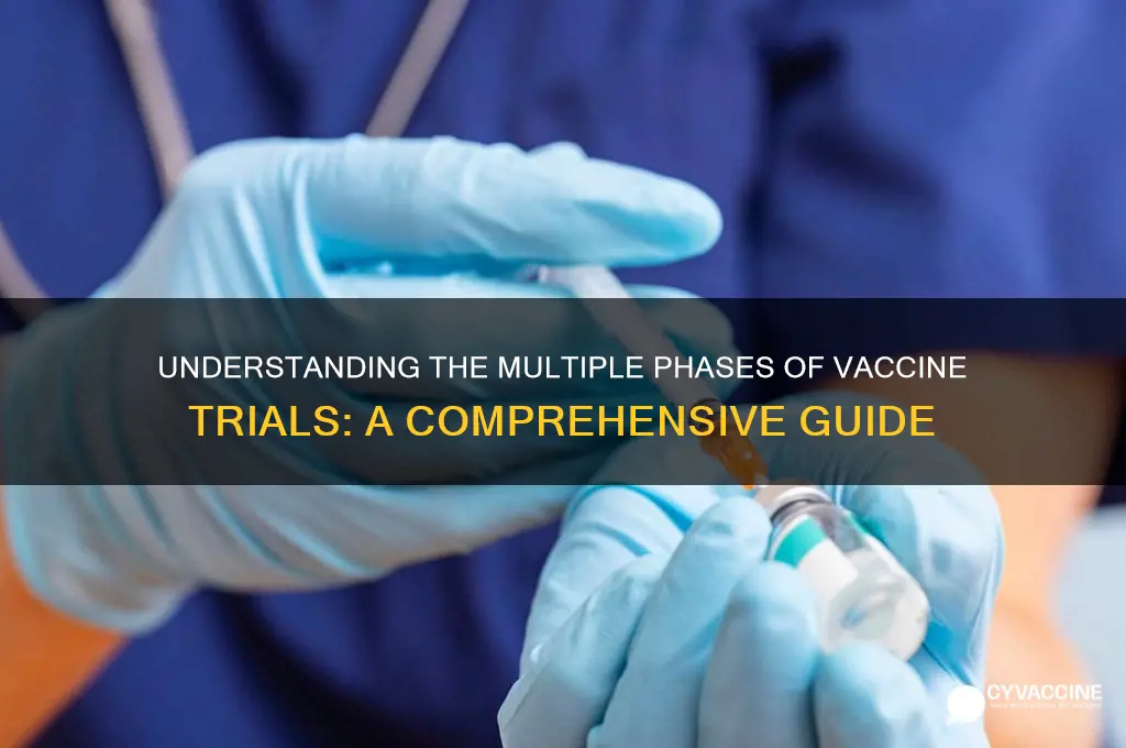 how many phase in vaccine trial