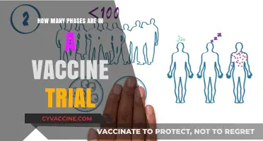 Understanding the Multi-Phase Process of Vaccine Clinical Trials