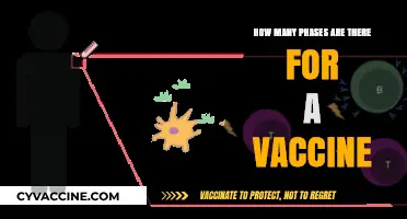 Understanding the Multiple Phases of Vaccine Development and Approval