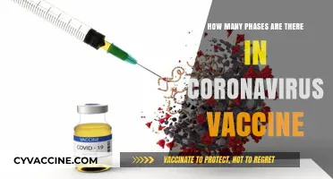 Understanding the Multiple Phases of Coronavirus Vaccine Development and Trials