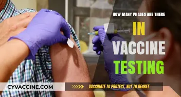 Understanding the Multiple Phases of Vaccine Testing and Development