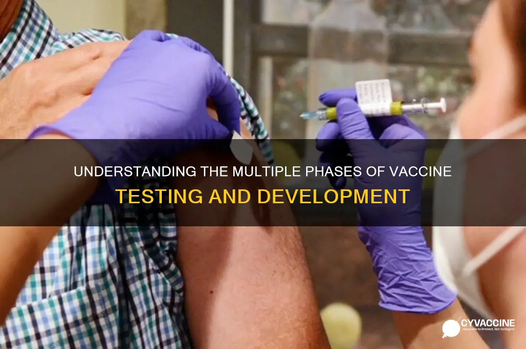 how many phases are there in vaccine testing
