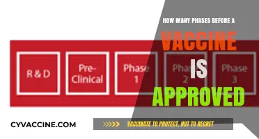Understanding the Rigorous Phases of Vaccine Approval and Safety