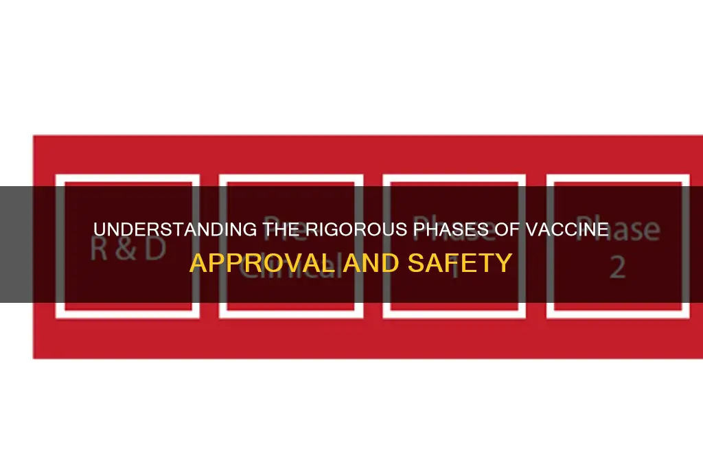 how many phases before a vaccine is approved