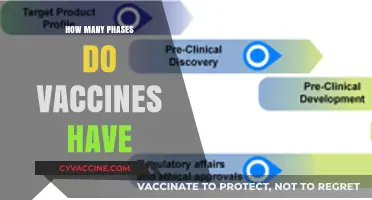 Understanding the Multi-Phase Journey of Vaccine Development and Approval