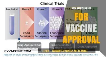 Understanding the Multi-Phase Journey to Vaccine Approval and Distribution