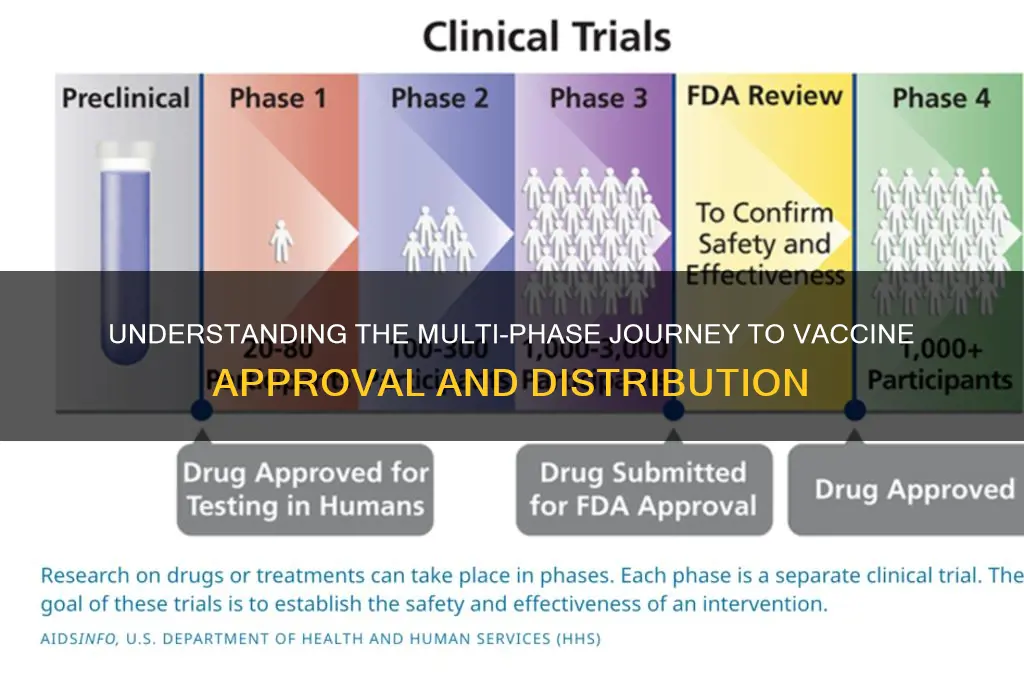 how many phases for vaccine approval