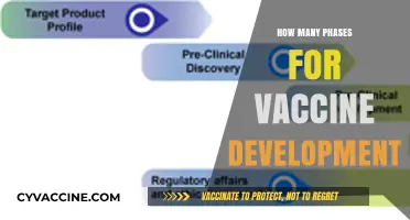 Understanding the Complex Phases of Vaccine Development and Approval