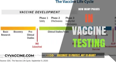 Understanding the Multiple Phases of Vaccine Testing and Development