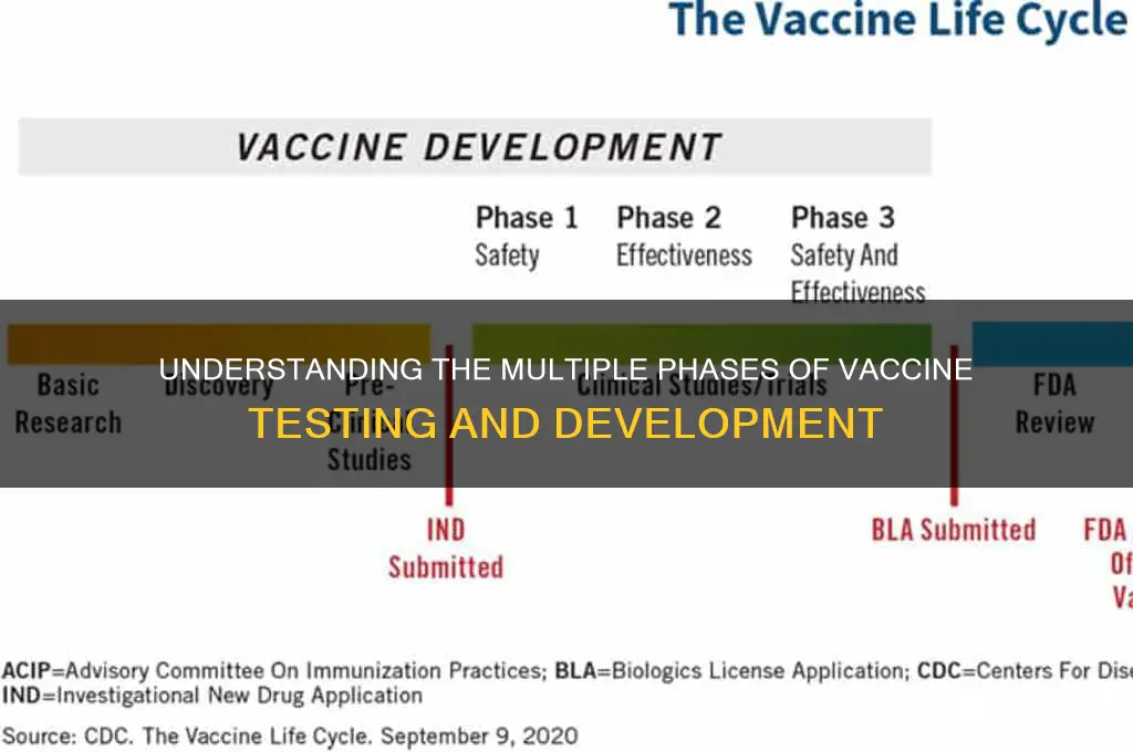 how many phases in vaccine testing