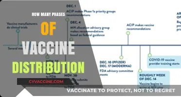 Understanding the Multi-Phase Vaccine Distribution Process: A Comprehensive Guide