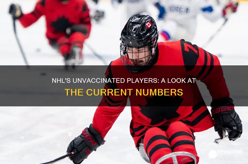 how many players in the nhl are not vaccinated