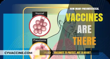 Understanding Pneumococcal Vaccines: Types, Availability, and Protection Options