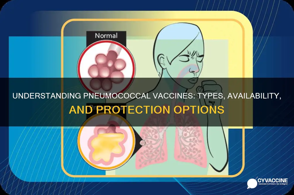 how many pneumococcal vaccines are there