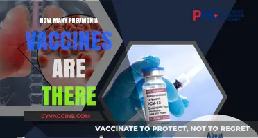 Understanding Pneumonia Vaccines: Types, Availability, and Protection Options