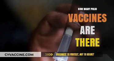 Exploring the Different Types of Polio Vaccines Available Today