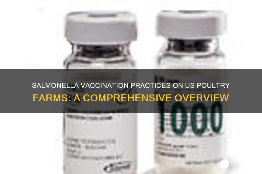 how many poultry farms vaccinate for salmonella in the us