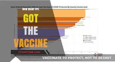 Global COVID-19 Vaccination Rates: Tracking How Many People Got the Vaccine
