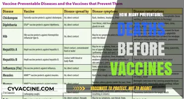 Preventable Deaths Before Vaccines: A Historical Perspective on Lives Saved