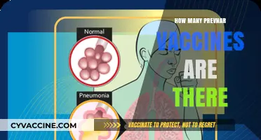 Understanding Prevnar: A Comprehensive Guide to Available Vaccine Options