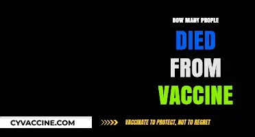 Vaccine-Related Deaths: Separating Facts from Misinformation and Myths
